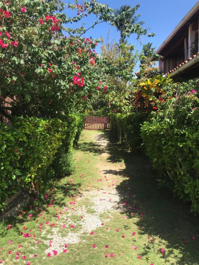Cozy Oceanfront Villa With Direct Beach Access Las Terrenas Zewnętrze zdjęcie