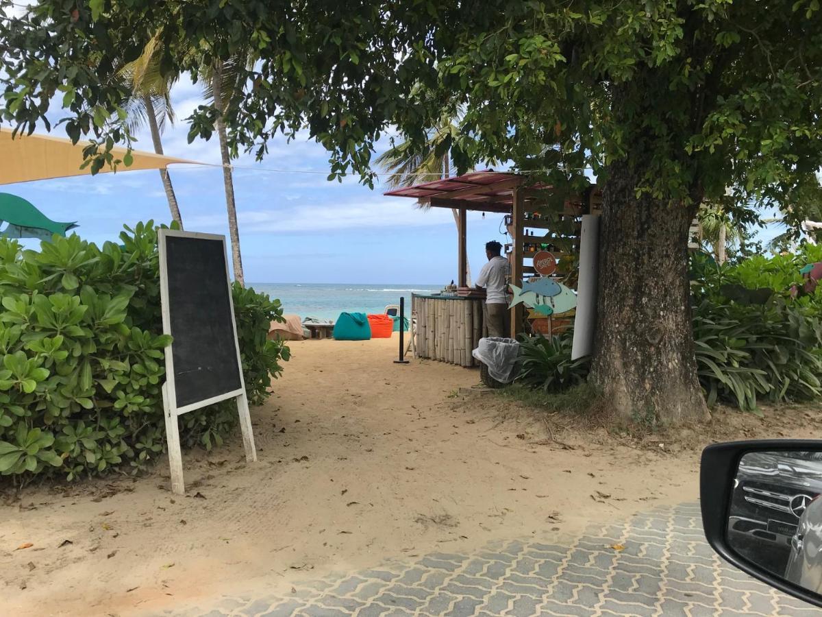 Cozy Oceanfront Villa With Direct Beach Access Las Terrenas Zewnętrze zdjęcie